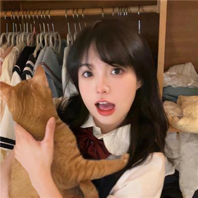 淑女绅士 在线观看